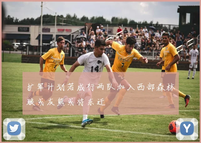 扩军计划若成行两队加入西部森林狼或灰熊或将东迁