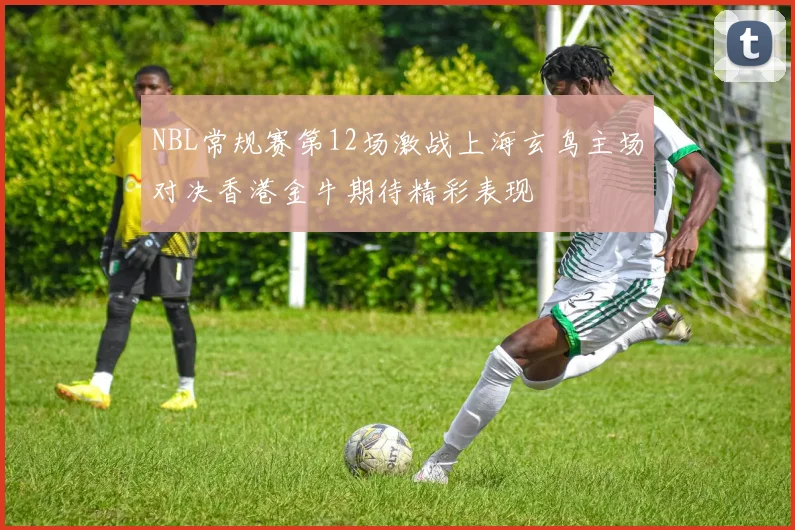 NBL常规赛第12场激战上海玄鸟主场对决香港金牛期待精彩表现